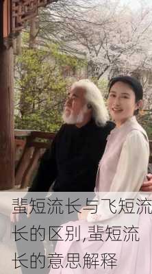 蜚短流长与飞短流长的区别,蜚短流长的意思解释