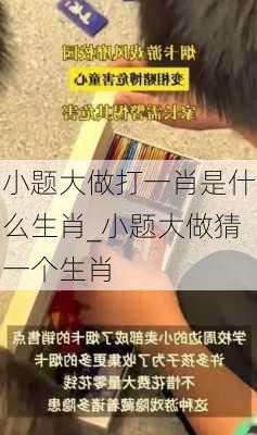 小题大做打一肖是什么生肖_小题大做猜一个生肖