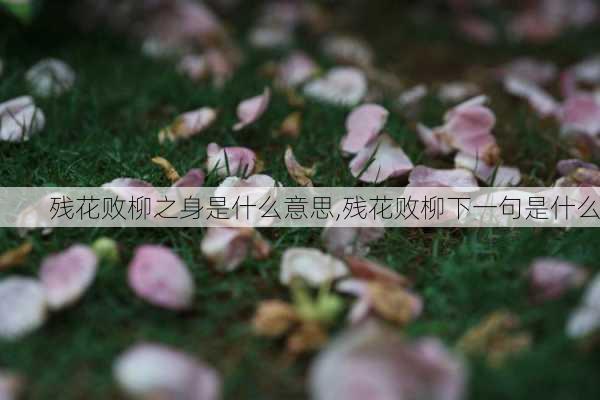 残花败柳之身是什么意思,残花败柳下一句是什么