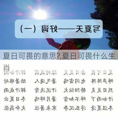 夏日可畏的意思?,夏日可畏什么生肖