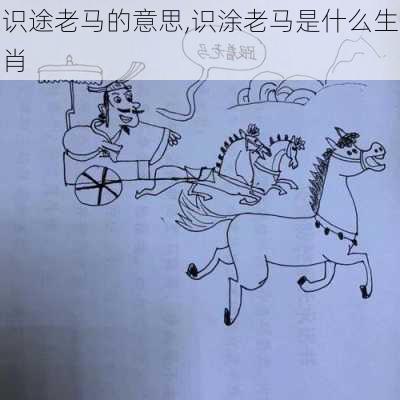 识途老马的意思,识涂老马是什么生肖