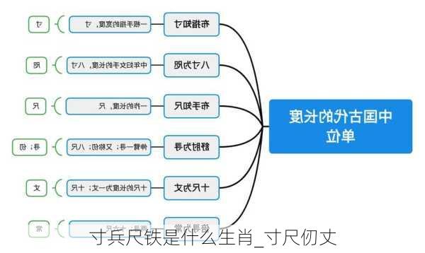 寸兵尺铁是什么生肖_寸尺仞丈