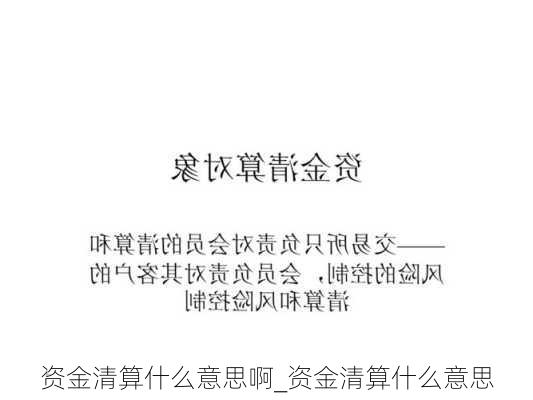 资金清算什么意思啊_资金清算什么意思