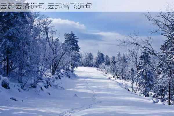 云起云落造句,云起雪飞造句