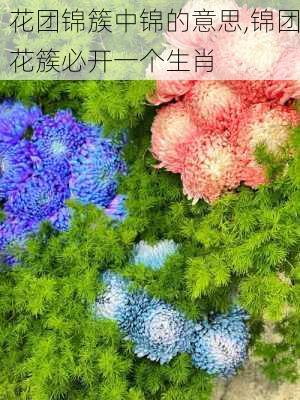 花团锦簇中锦的意思,锦团花簇必开一个生肖