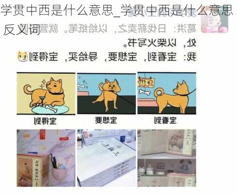 学贯中西是什么意思_学贯中西是什么意思 反义词