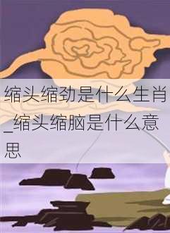 缩头缩劲是什么生肖_缩头缩脑是什么意思