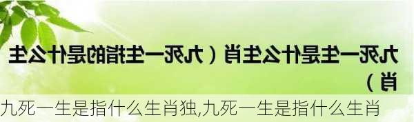 九死一生是指什么生肖独,九死一生是指什么生肖