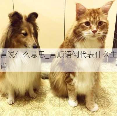 言说什么意思_言颠语倒代表什么生肖