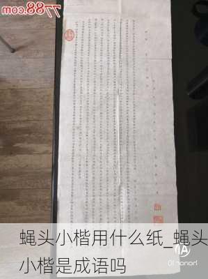 蝇头小楷用什么纸_蝇头小楷是成语吗