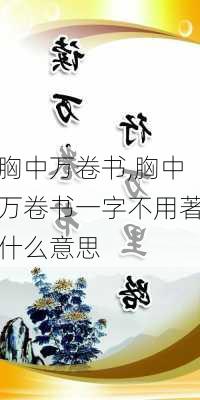 胸中万卷书,胸中万卷书一字不用著什么意思