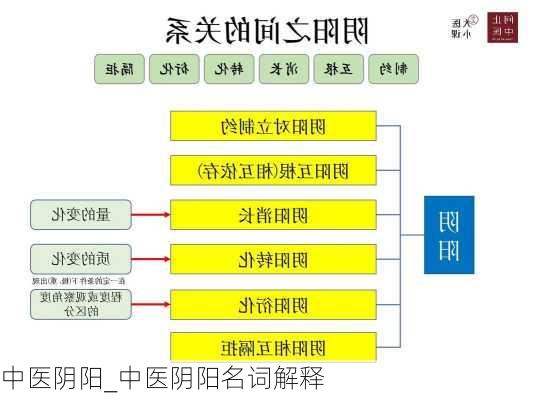 中医阴阳_中医阴阳名词解释