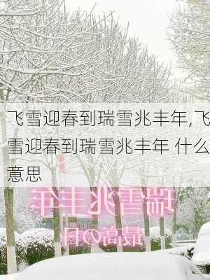 飞雪迎春到瑞雪兆丰年,飞雪迎春到瑞雪兆丰年 什么意思