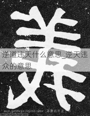 逆道违天什么意思_逆天违众的意思