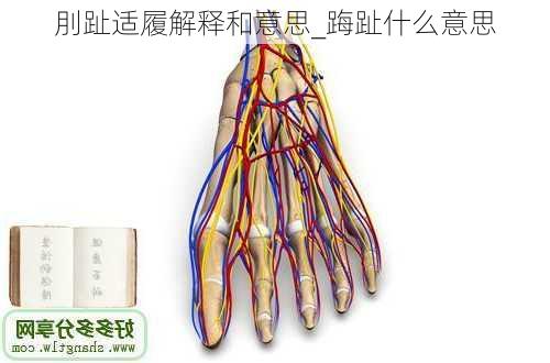 刖趾适履解释和意思_踇趾什么意思