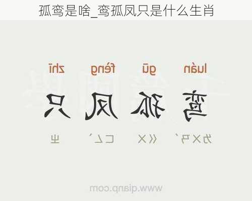 孤鸾是啥_鸾孤凤只是什么生肖