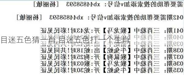 目迷五色猜一肖,目迷五色打一个生肖