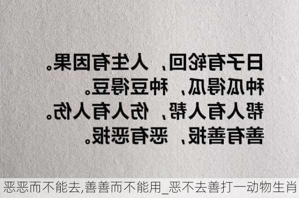 恶恶而不能去,善善而不能用_恶不去善打一动物生肖