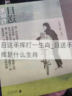 目送手挥打一生肖_目送手挥是什么生肖