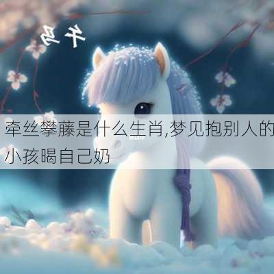 牵丝攀藤是什么生肖,梦见抱别人的小孩暍自己奶