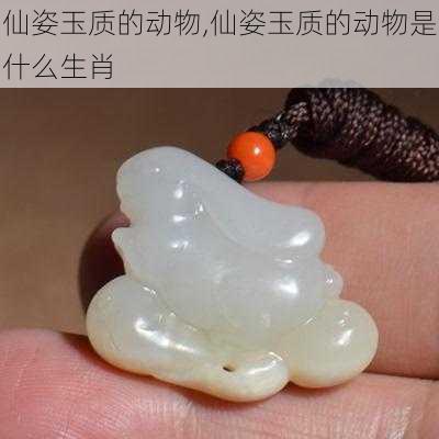 仙姿玉质的动物,仙姿玉质的动物是什么生肖