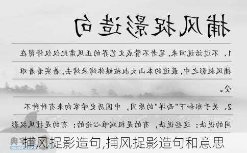 捕风捉影造句,捕风捉影造句和意思