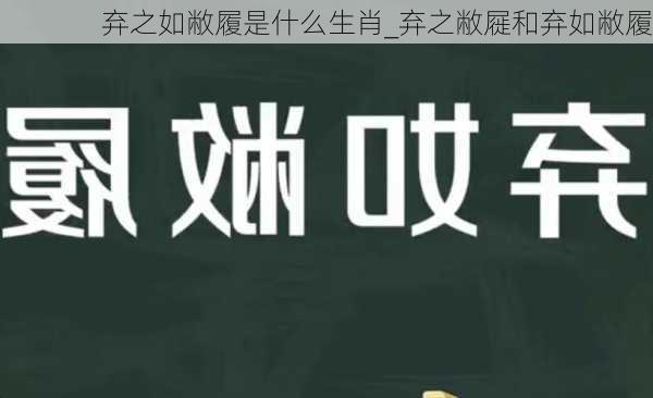 弃之如敝履是什么生肖_弃之敝屣和弃如敝履