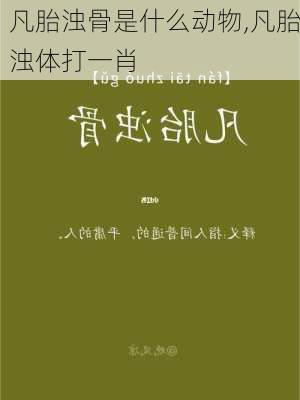 凡胎浊骨是什么动物,凡胎浊体打一肖