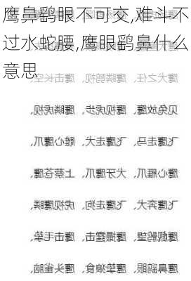 鹰鼻鹞眼不可交,难斗不过水蛇腰,鹰眼鹞鼻什么意思