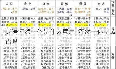 成语浑然一体是什么意思_浑然一体是成语吗