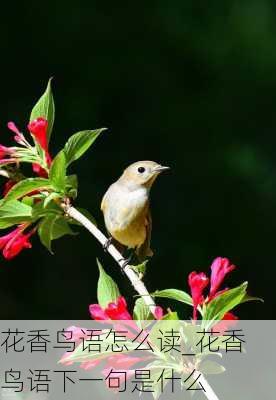 花香鸟语怎么读_花香鸟语下一句是什么