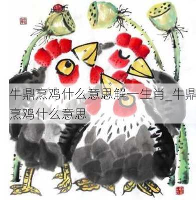 牛鼎烹鸡什么意思解一生肖_牛鼎烹鸡什么意思