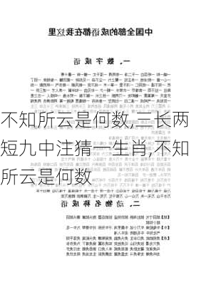 不知所云是何数,三长两短九中注猜一生肖,不知所云是何数