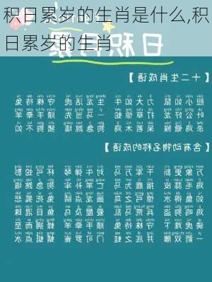 积日累岁的生肖是什么,积日累岁的生肖