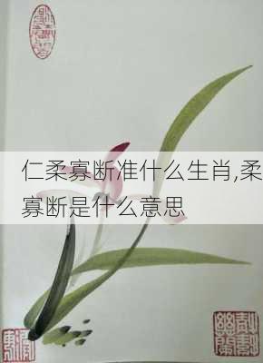 仁柔寡断准什么生肖,柔寡断是什么意思