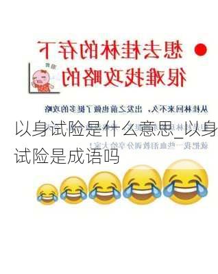 以身试险是什么意思_以身试险是成语吗