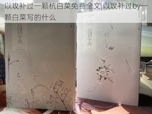 以攻补过一颗杭白菜免费全文,以攻补过by一颗白菜写的什么