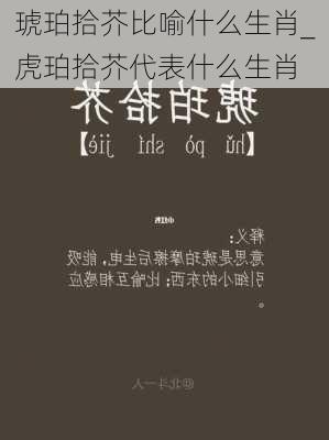 琥珀拾芥比喻什么生肖_虎珀拾芥代表什么生肖