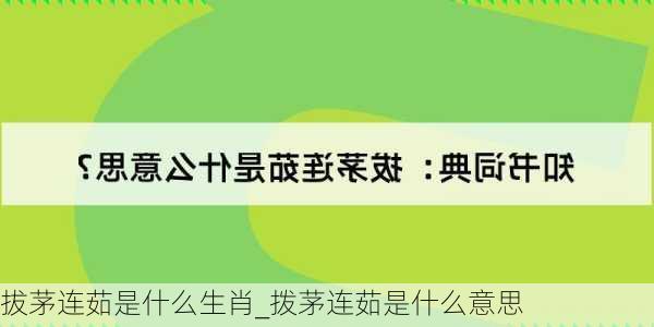 拔茅连茹是什么生肖_拨茅连茹是什么意思