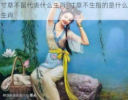 寸草不留代表什么生肖_寸草不生指的是什么生肖