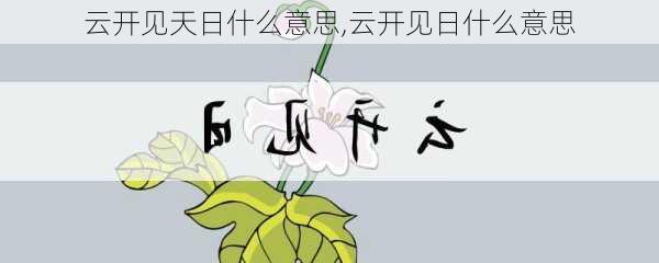 云开见天日什么意思,云开见日什么意思