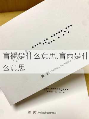 盲襻是什么意思,盲雨是什么意思