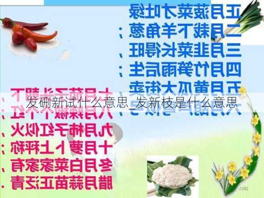 发硎新试什么意思_发新枝是什么意思