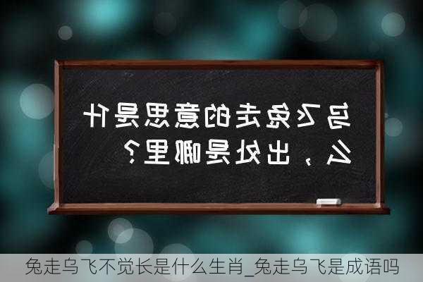 兔走乌飞不觉长是什么生肖_兔走乌飞是成语吗