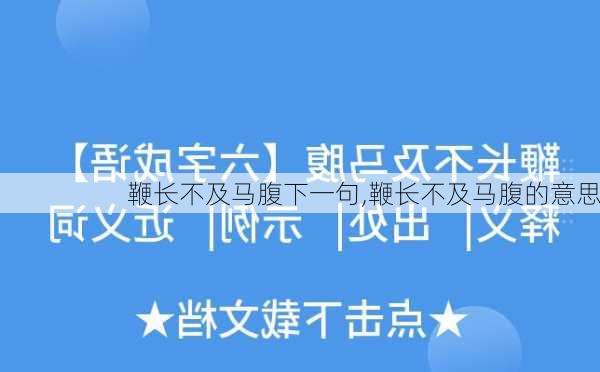 鞭长不及马腹下一句,鞭长不及马腹的意思