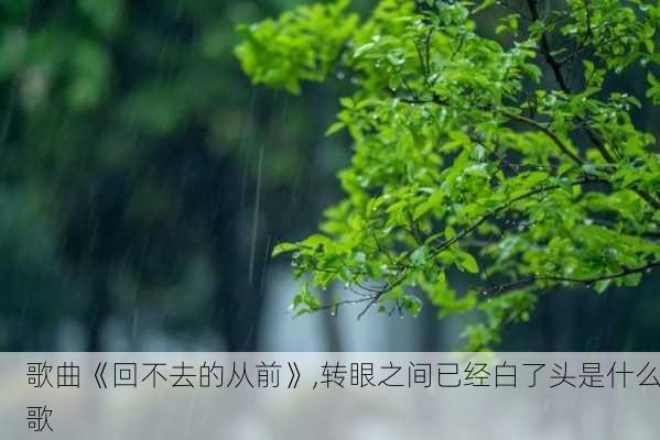 歌曲《回不去的从前》,转眼之间已经白了头是什么歌