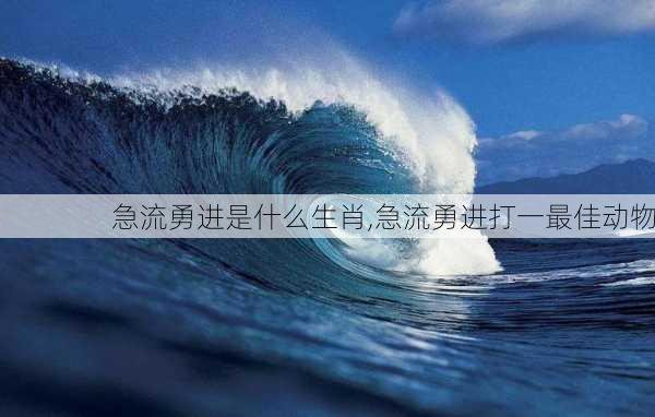 急流勇进是什么生肖,急流勇进打一最佳动物