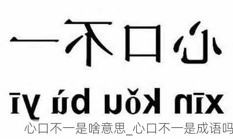 心口不一是啥意思_心口不一是成语吗