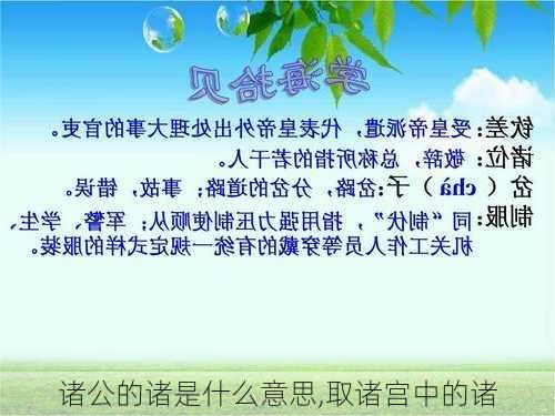 诸公的诸是什么意思,取诸宫中的诸