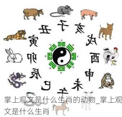 掌上观文是什么生肖的动物_掌上观文是什么生肖